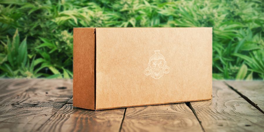 Envío Gratuito De Semillas De Marihuana Zamnesia