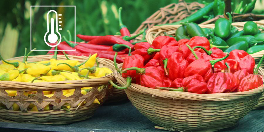 La Escala Scoville