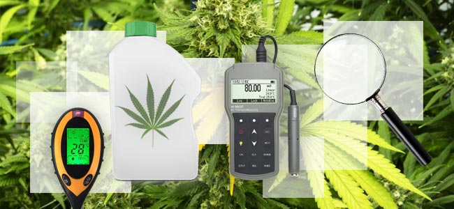 Cómo Solucionar La Toxicidad Por Nitrógeno Cómo Solucionar La Toxicidad Por Nitrógeno