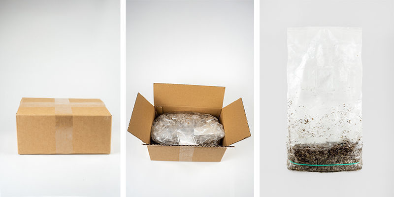 ¿Qué viene con la bolsa de cultivo Zamnesia Ready-2-Grow?