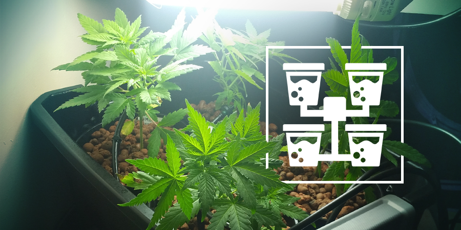 Configuraciones Hidro Avanzadas Para El Cultivador Casero Configuraciones Hidro Avanzadas Para El Cultivador Casero