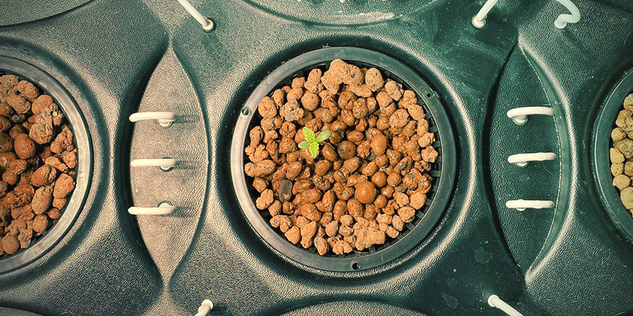 Pros Y Contras Del Cultivo Hidropónico Avanzado PROS Y CONTRAS DEL CULTIVO HIDROPÓNICO AVANZADO