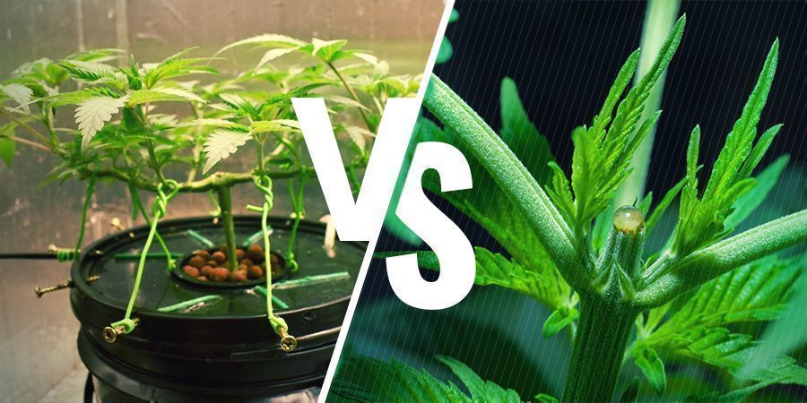 LST Y HST: ¿En Qué Se Diferencian?