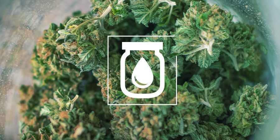 El Curado Al Agua del Cannabis: Qué Es y Cómo Se Hace