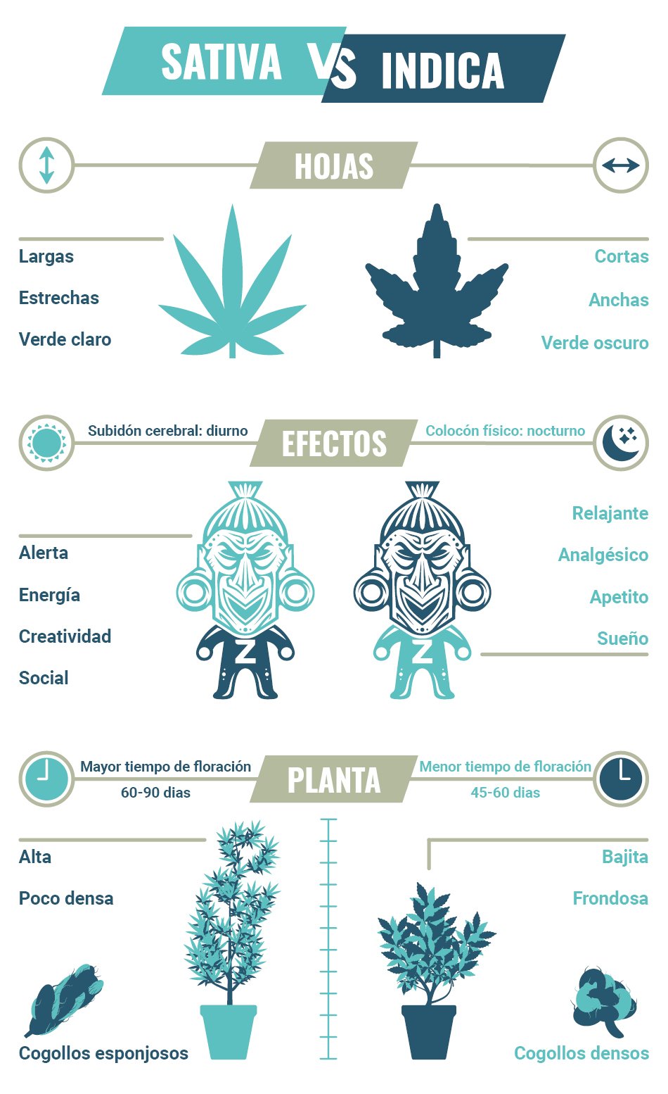 Sativa, Indica, Ruderalis & Híbridos - Cómo cultivar marihuana