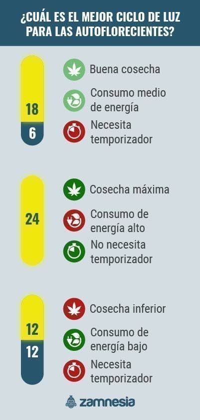 ¿Cuál Es El Mejor Ciclo De Luz Para Las Autoflorecientes? infografía