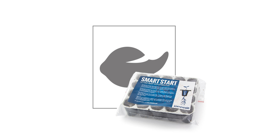 Smart Start: Germinar Semillas De Marihuana Smart Start: Germinar Semillas De Marihuana