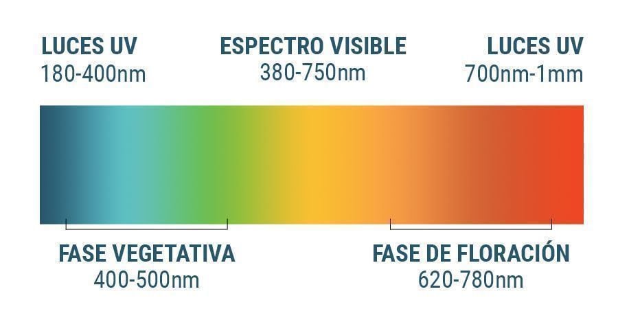 Espectro Lumínico Y Cannabis