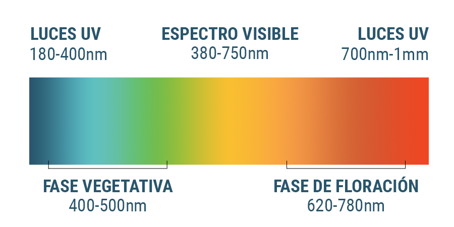 Espectro Lumínico Y Cannabis Espectro Lumínico Y Cannabis