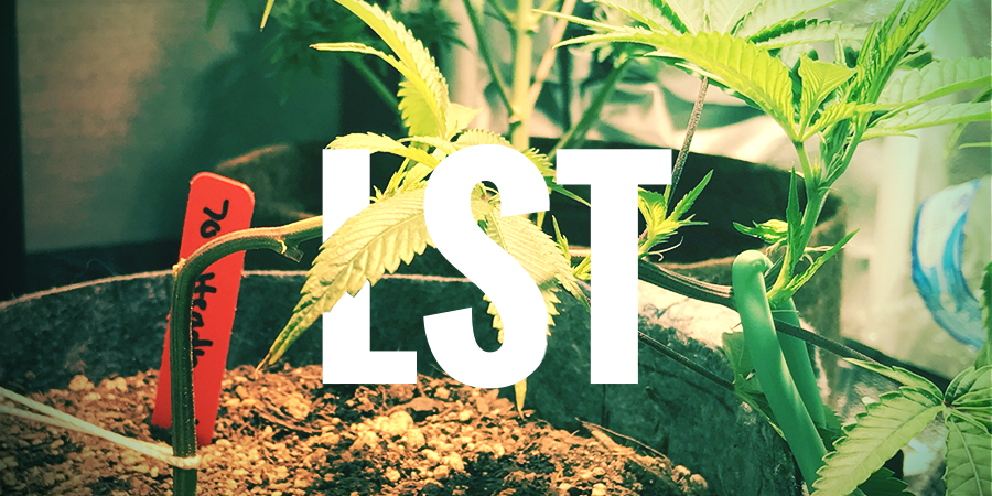 LST (ENTRENAMIENTO DE BAJO ESTRÉS)