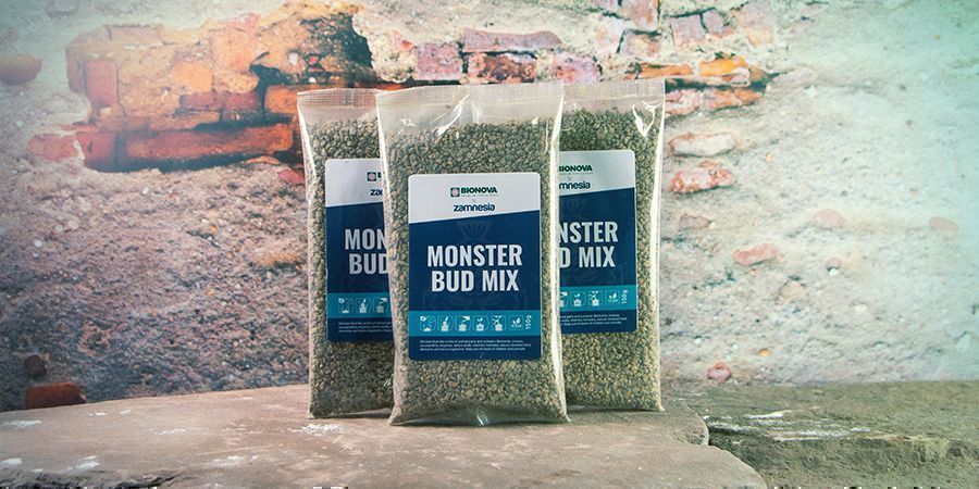 PASO 4: PREPARA EL SUELO CON UN FERTILIZANTE COMO MONSTER BUD MIX