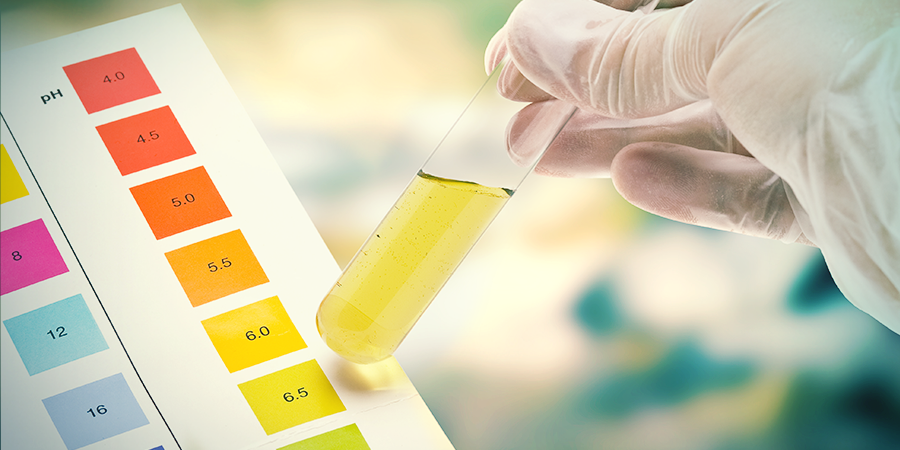 Valores Óptimos De pH Y EC Para El Cultivo De Cannabis Valores Óptimos De pH Y EC Para El Cultivo De Cannabis