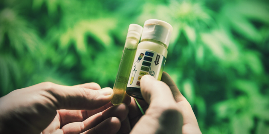 Cómo Medir El pH Y La EC Cómo Medir El pH Y La EC