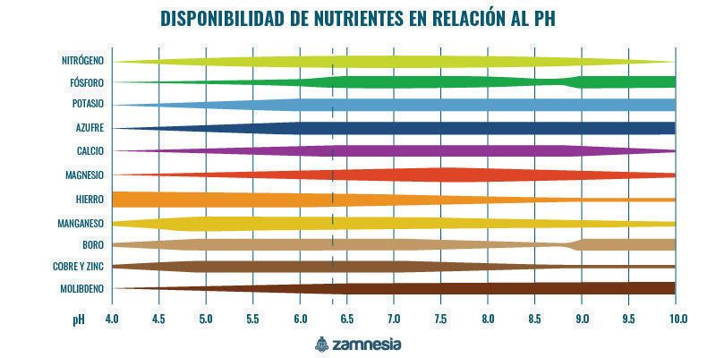 Disponibilidad de nutrientes en relación al pH