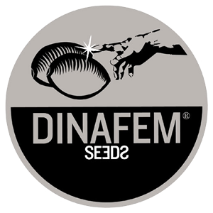 Dinafem logo Dinafem logo