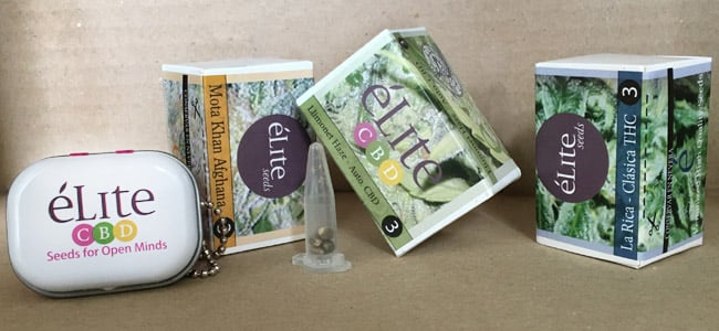 Élite Seeds Envases Élite Seeds Envases