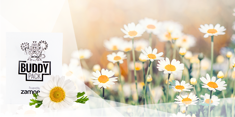 Atraer Insectos Beneficiosos