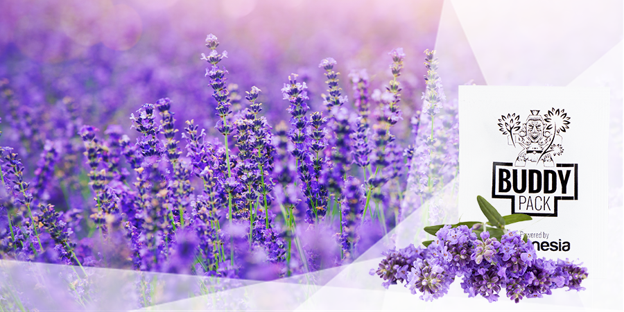 Repeler Insectos Dañinos