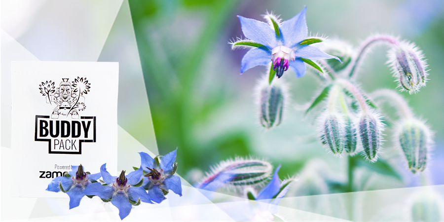 Proporcionar Nutrientes Y Mejorar La Estructura Del Suelo