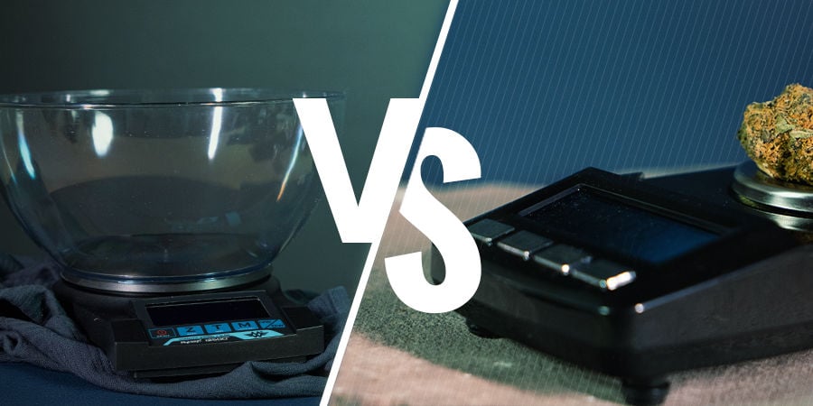 Diferencias Entre Las Básculas De Mesa Y De Bolsillo Diferencias Entre Las Básculas De Mesa Y De Bolsillo