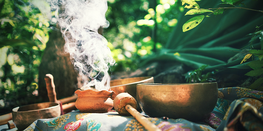 Historia De La Salvia Divinorum