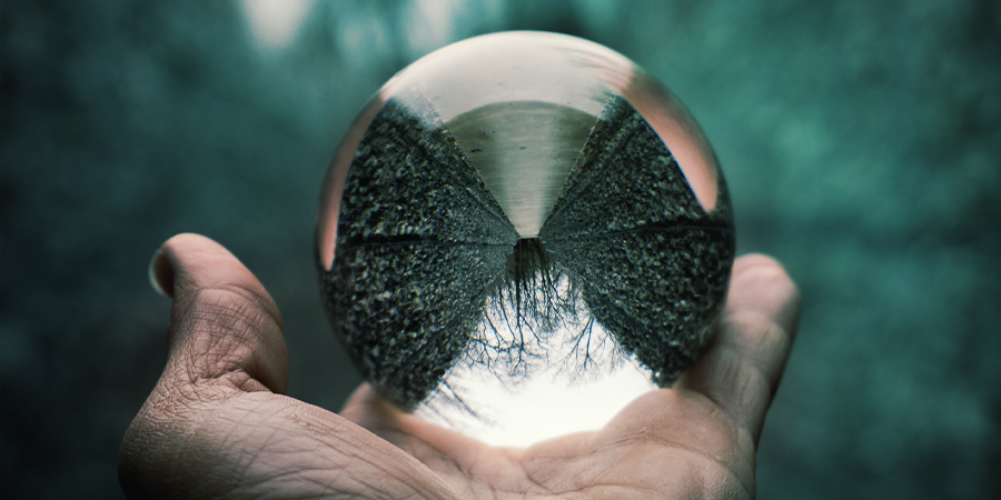 ¿Qué Efectos Produce La Salvia Divinorum?