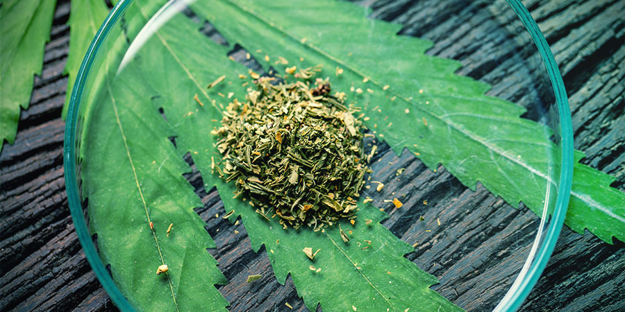 DIFERENTES TIPOS DE KRATOM