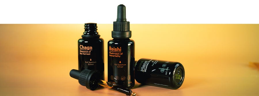 ¿Qué suplemento de hongos es mejor para mí? ¿Qué suplemento de hongos es mejor para mí?