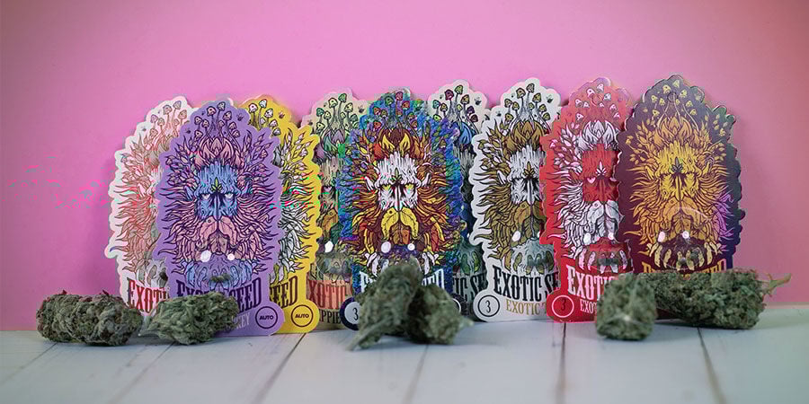 Variedades Galardonadas De Exotic Seed Variedades galardonadas Exotic Seed