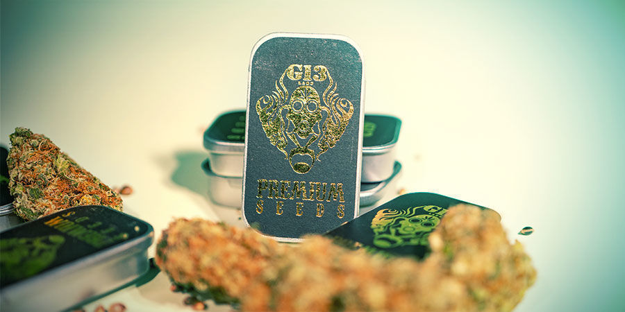 ¿Cuáles Son Las 3 Mejores Variedades De Marihuana De G13 Labs? 3 Mejores Variedades De Marihuana G13 Labs?