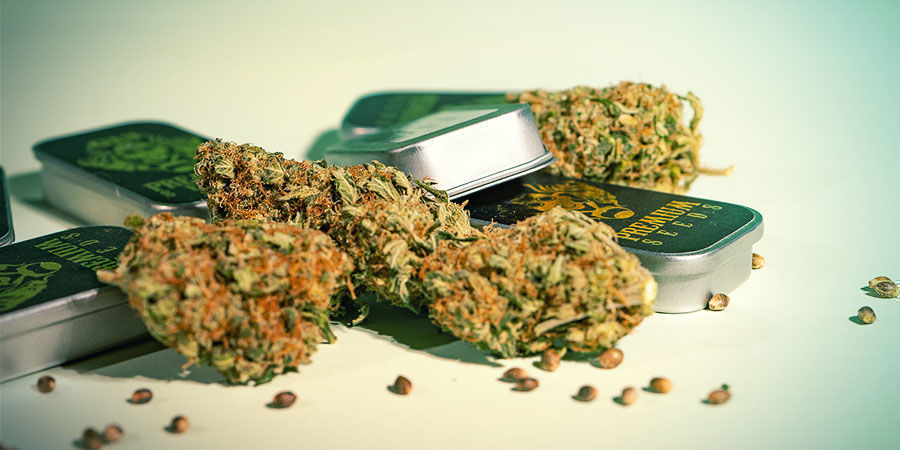 ¿Qué Hace Diferente A G13 Labs? ¿Qué Hace Diferente A G13 Labs?