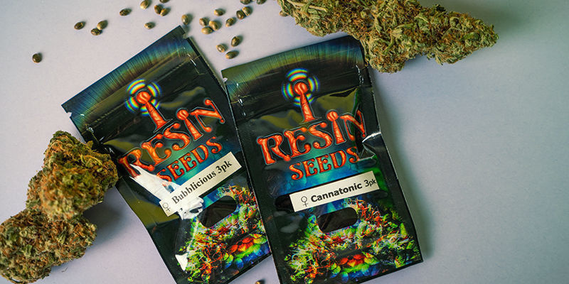 ¿Cómo Se Empaquetan Las Semillas De Marihuana Resin Seeds? Envasado de semillas de Resin Seeds