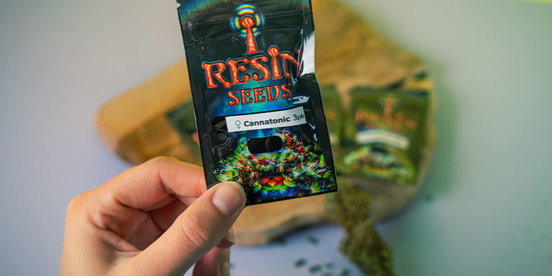 Resin Seeds: Fundadores Del Movimiento Del CBD Resin Seeds: Fundadores Movimiento CBD
