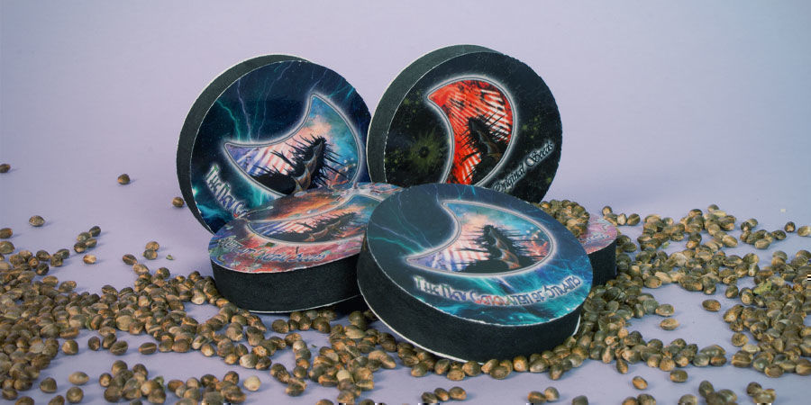 ¿Cuáles Son Las Mejores Variedades De Marihuana De GeneSeeds? Mejores Variedades Marihuana GeneSeeds