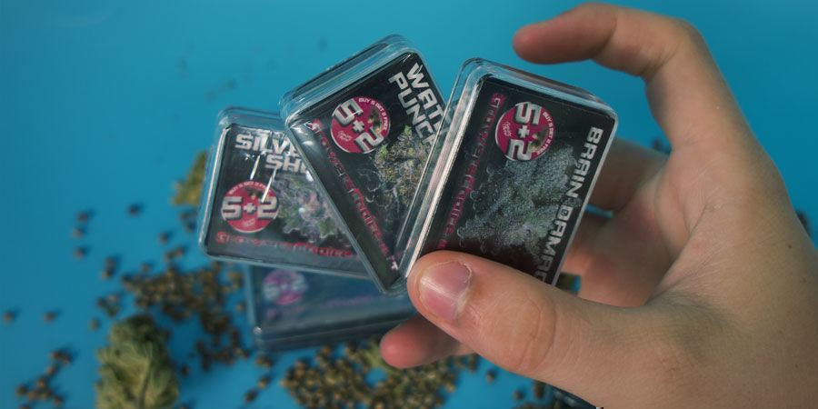 Growers Choice: Elige Estas Semillas Growers Choice: Elige Estas Semillas