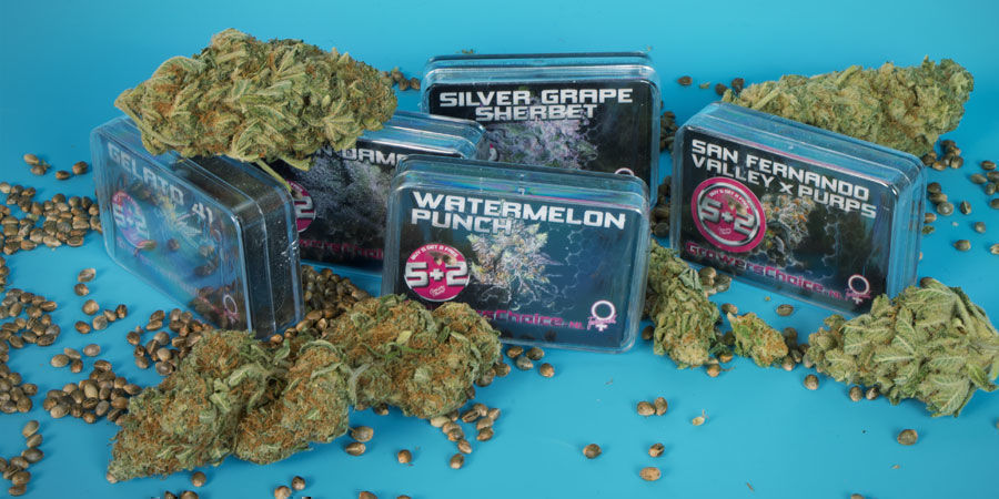 ¿Quiénes Son Growers Choice? ¿Quiénes Son Growers Choice?