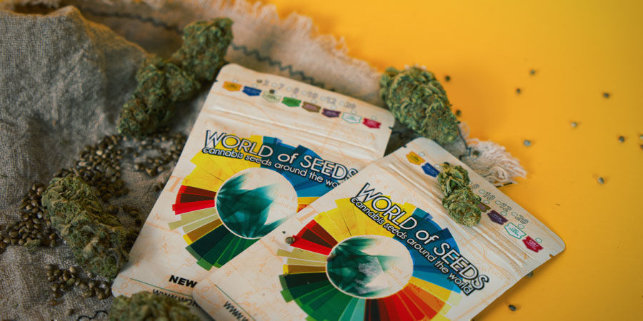 ¿Dónde Puedo Comprar Semillas De Marihuana World Of Seeds? ¿Dónde Puedo Comprar Semillas De Marihuana World Of Seeds?
