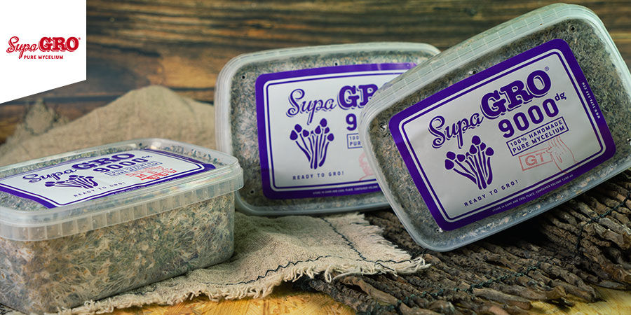 Kits De Cultivo Supa Gro KITS DE CULTIVO DE SETAS ALUCINÓGENAS SUPA GRO