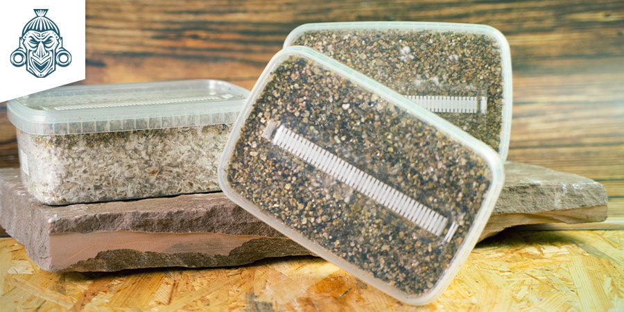 Kits De Cultivo Zamnesia KITS DE CULTIVO DE SETAS ALUCINÓGENAS ZAMNESIA