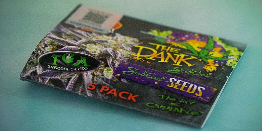 Embalaje De The Dank Seeds EMBALAJE de The Dank Seeds