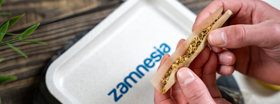 Información sobre la Headshop de Zamnesia Información sobre la Headshop de Zamnesia