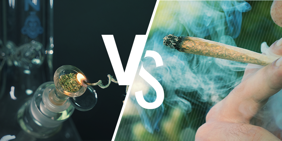 Bongs Vs Porros Bongs Vs Porros