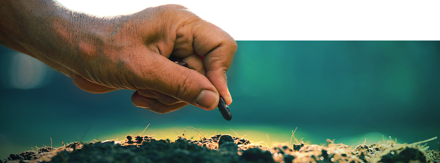 Smart Seeds - Cultiva psicodélicos y afrodisíacos naturales en casa