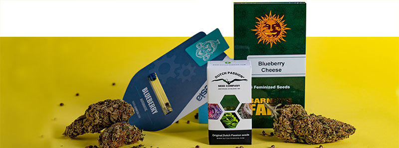 Las variedades Blueberry Las variedades Blueberry