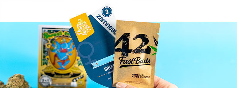 Variedades Cheese Variedades Cheese