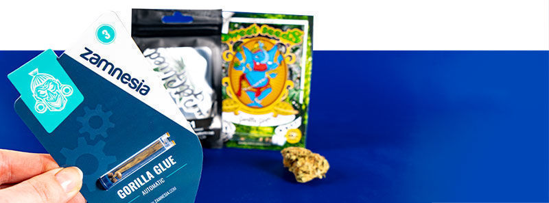 Sobre las variedades Gorilla Glue Sobre las variedades Gorilla Glue