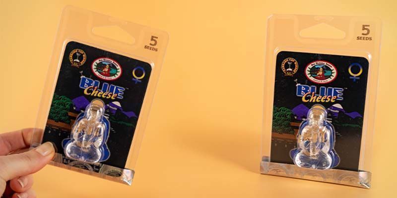 Embalaje de Big Buddha Seeds Embalaje de Big Buddha Seeds