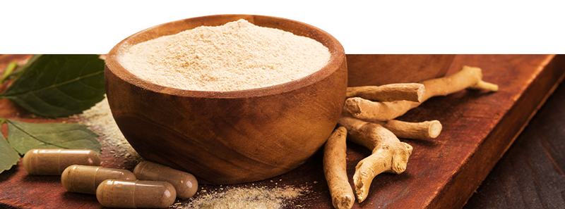 Compra productos de ayurveda online en Zamnesia