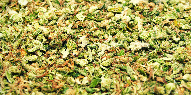 Triturar Hierba Sin Un Grinder Triturar Hierba Sin Un Grinder