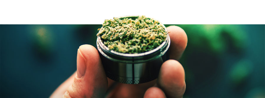 Grinders Para Cannabis Grinders Para Cannabis